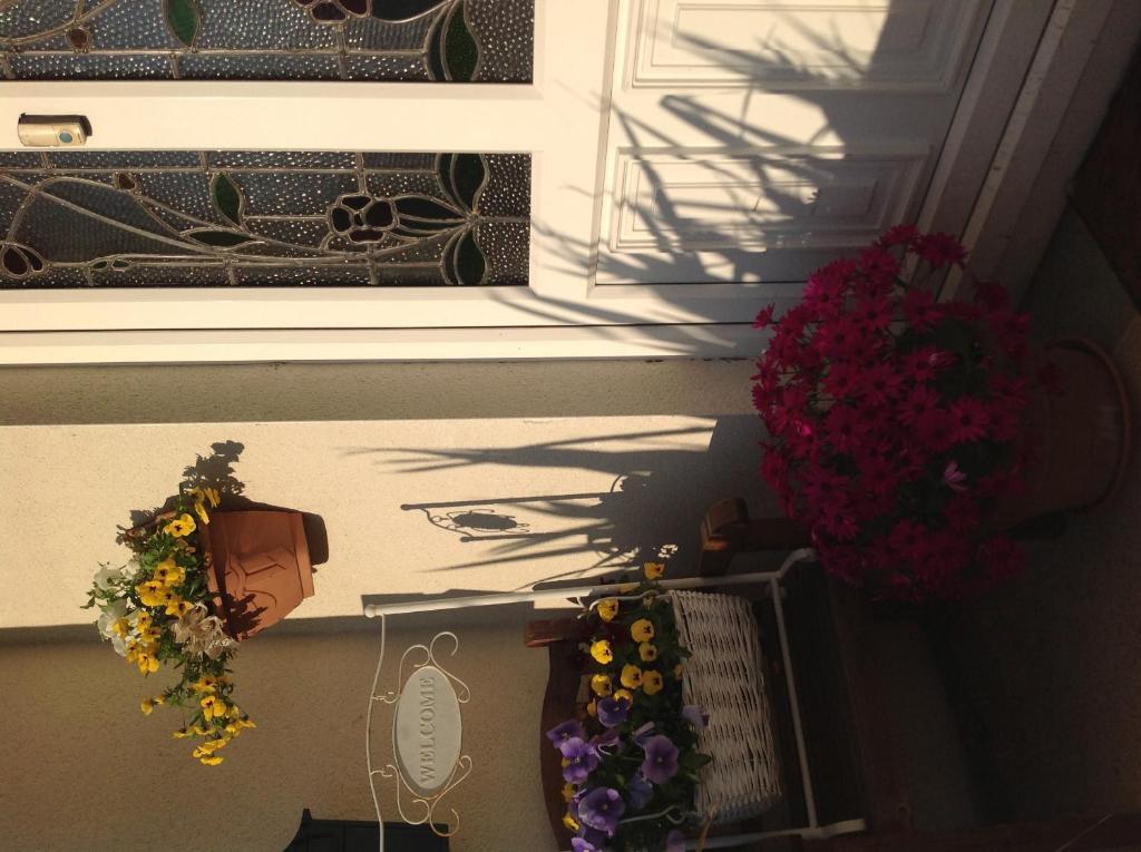 Annandale House Bed & Breakfast Dublin Exterior foto